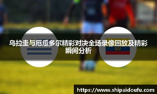 letou国际米兰1