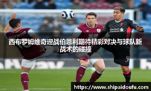 letou米兰国际赞助