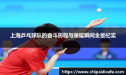 letou米兰国际赞助